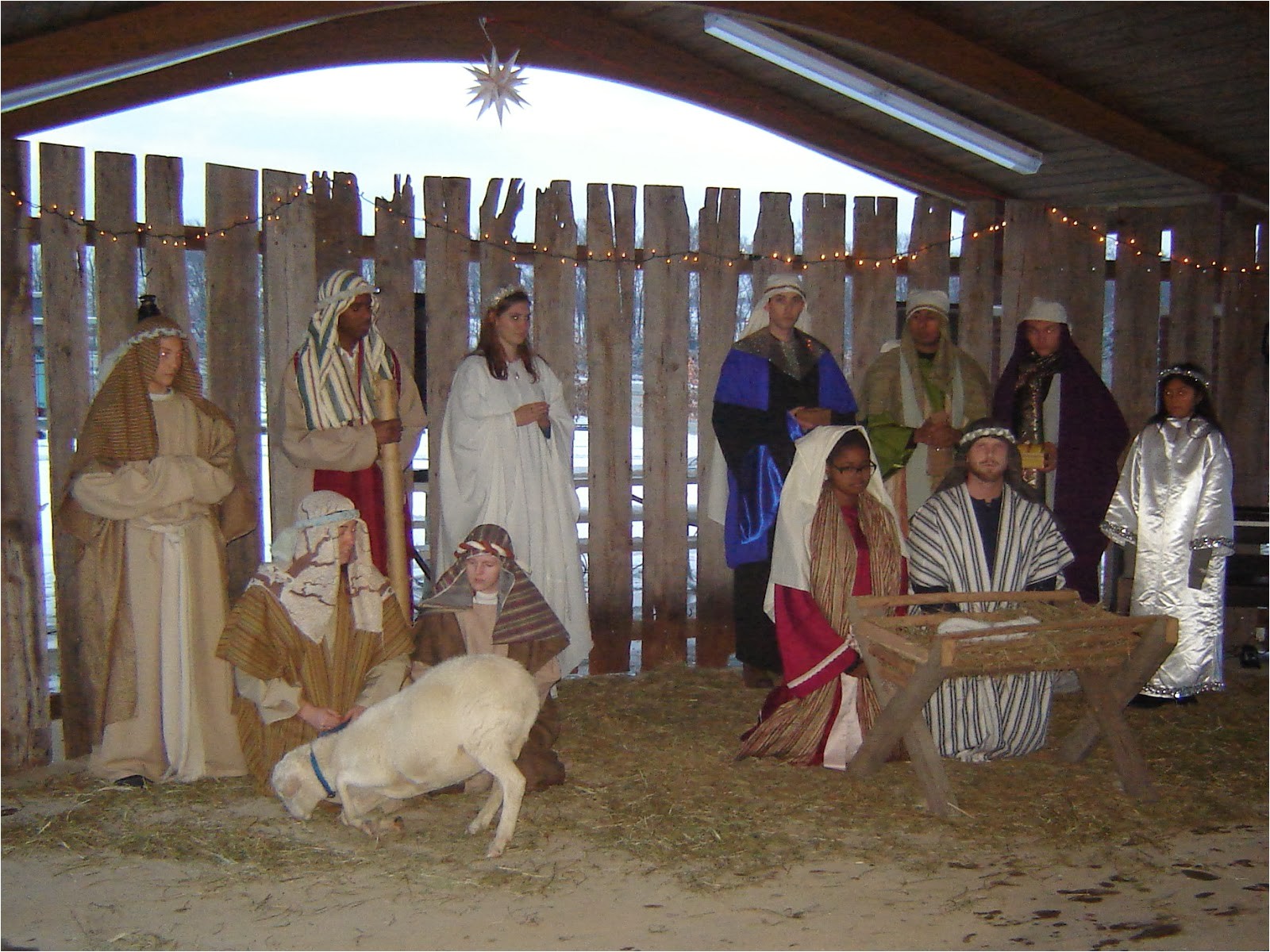 ewraophoto outdoor nativity sets costco