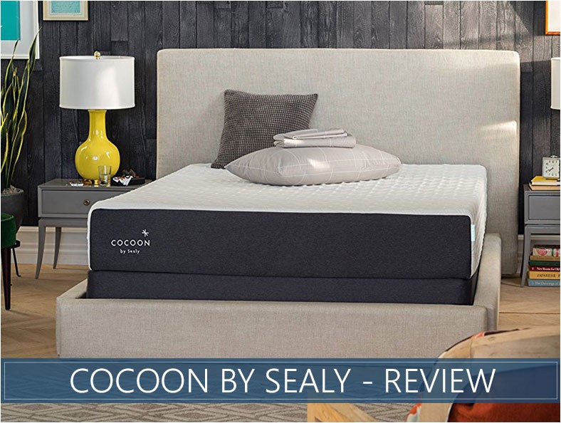 download cocoon mattresses