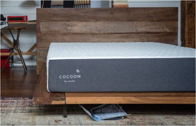 cocoon chill by sealy mattress review