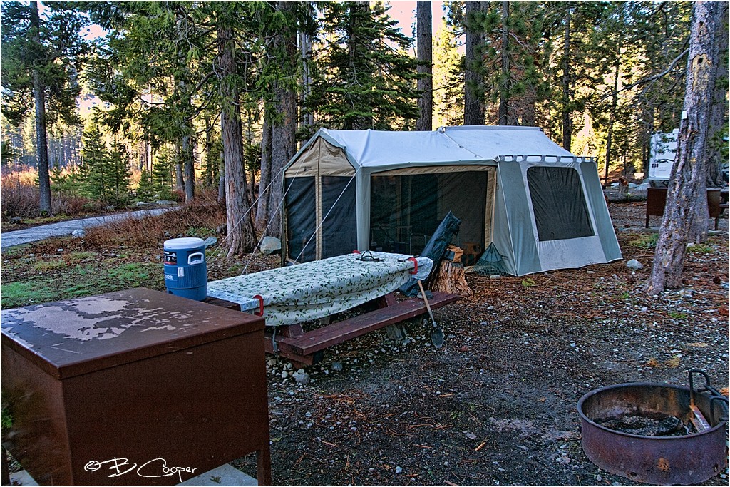 kodiak cabin tent