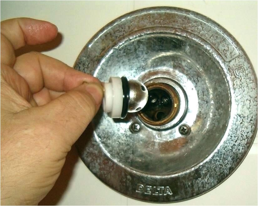 delta-monitor-shower-faucet-temperature-adjustment-adinaporter