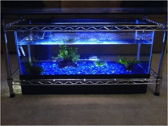 spectacular diy fish tank coffee table free guide and tutorial