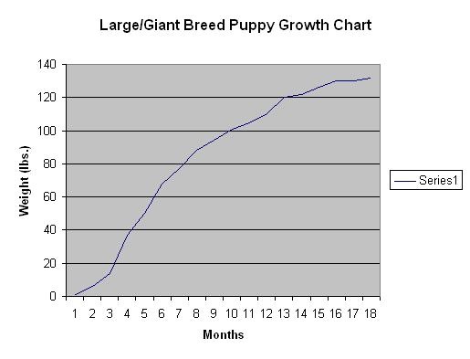newfoundland dog growth chart