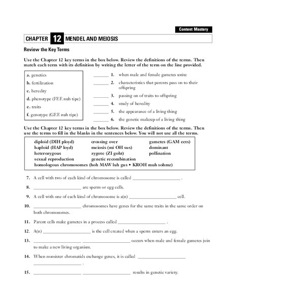 hayes school publishing spanish worksheets answers