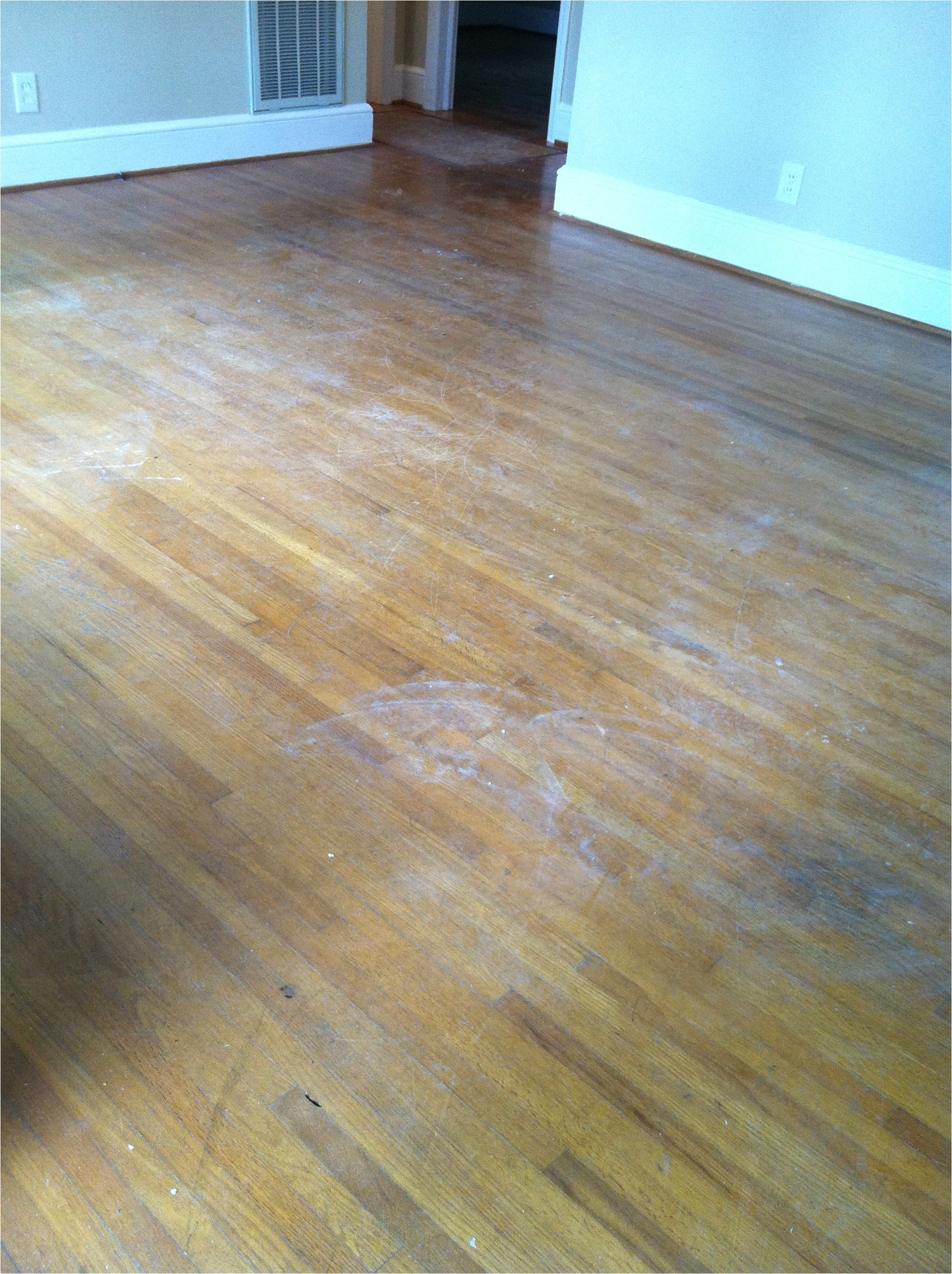 How To Clean A Hardwood Floor With Dogs Urine On It ...