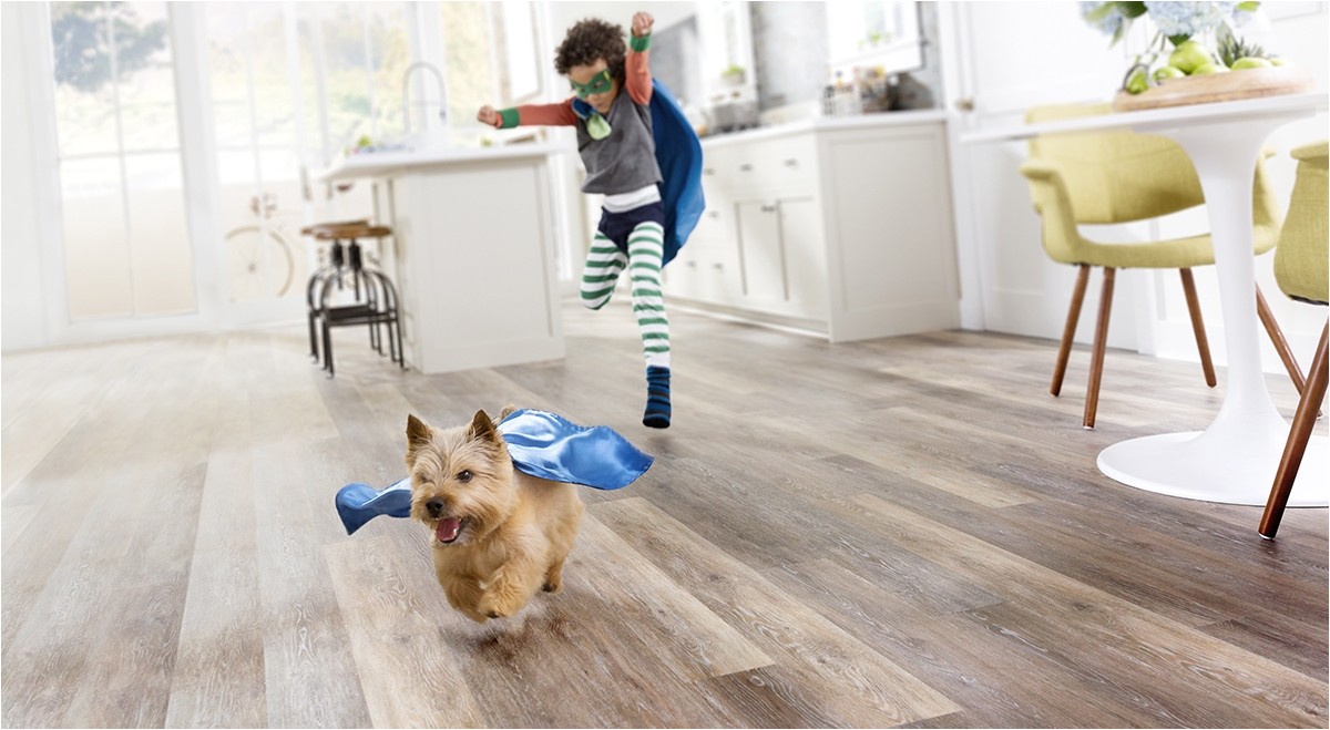 Laminate Flooring With Pets AdinaPorter   Laminate Flooring With Pets Waterproof And Scratch Proof Laminate Flooring Of Laminate Flooring With Pets 