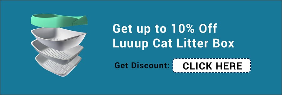 luuup review cat litter box