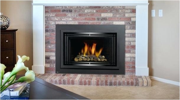 Regency Direct Vent Gas Fireplace Reviews Gas Insert Fireplace Reviews Regency Direct Vent Regarding