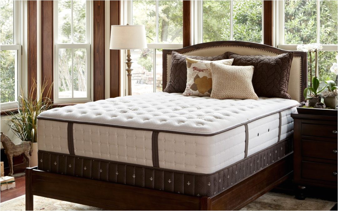 best stearns and foster mattress for back pain
