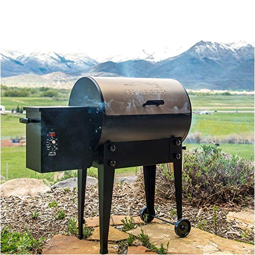 traeger renegade elite grill reviews