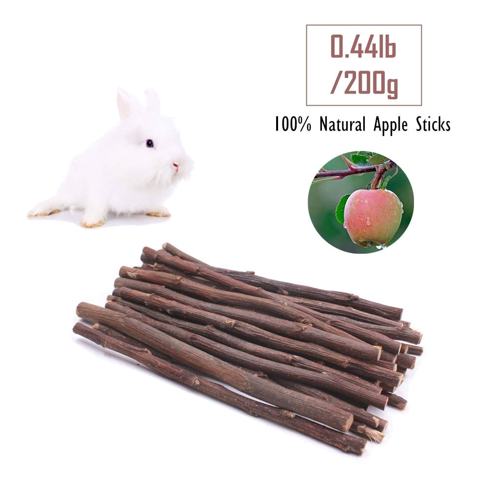 amazon com guinea pig toys chinchilla hamster rat chews toys bunny rabbits gerbil molar wooden pack of 7 pet supplies