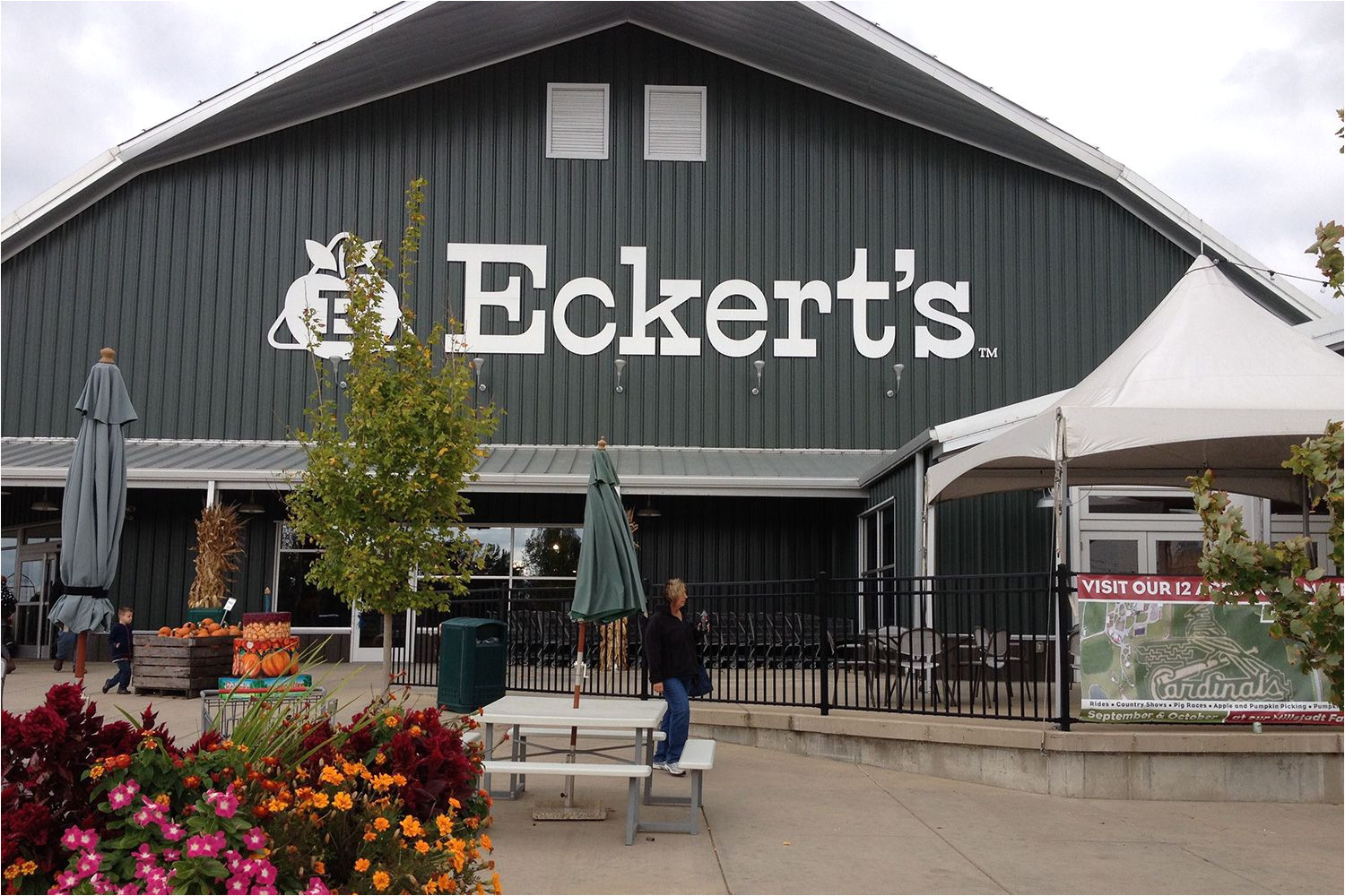 eckerts st louis 5a3960e24e4f7d003a97e061 jpg