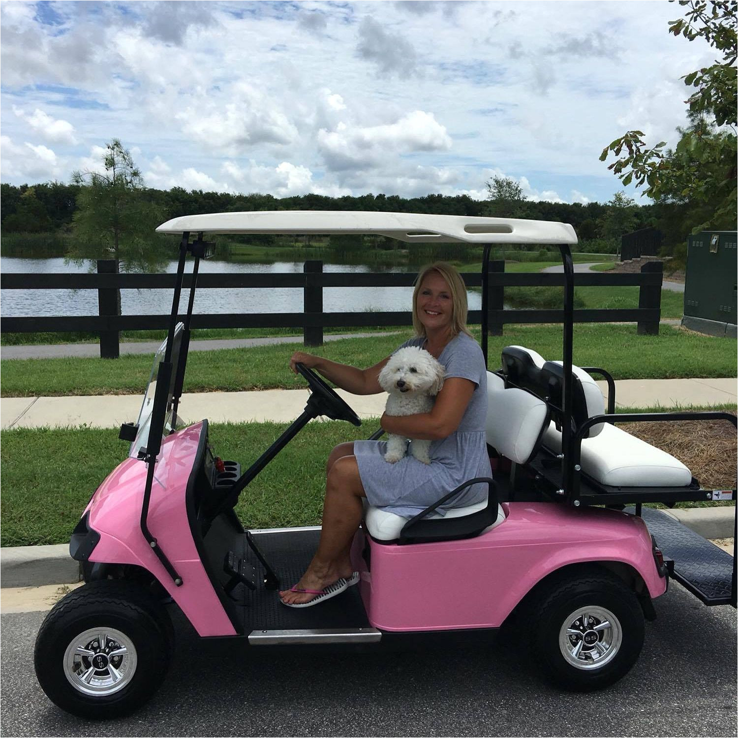 custom barbie cart ezgo