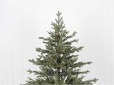 100 Pe Christmas Tree Artificial Christmas Tree Ohio Deluxe Natural Model