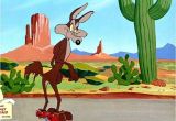 Acme Classics Tv Schedule Wile E Coyote S Genius Cartoon Landscape Pinterest