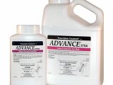 Advance Carpenter Ant Bait Msds Advance 375a Select Granular Ant Bait Kill Ant Bait