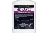 Advance Carpenter Ant Bait Walmart Advance Carpenter Ant Bait Free Shipping Domyown Com