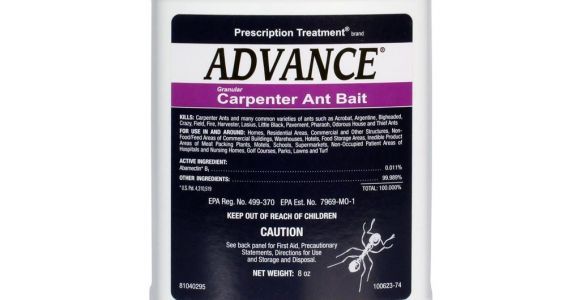 Advance Carpenter Ant Bait Walmart Advance Carpenter Ant Bait Free Shipping Domyown Com