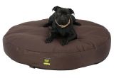 Anti Chew Dog Bed Cover Dachshund Hot Dog Bun Bed Anti Chew Raised Dog Beds Noten