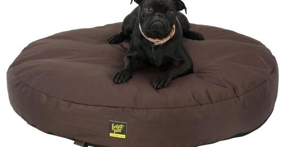 Anti Chew Dog Bed Cover Dachshund Hot Dog Bun Bed Anti Chew Raised Dog Beds Noten