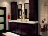 Bathroom Remodel Contractors Springfield Mo Walk In Bathtubs Safety Tubs Springfield Missouri