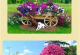 Beat Your Neighbor Fertilizer Amazon 13 Best Gardening and Landscaping Images On Pinterest Garden Ideas