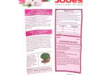 Beat Your Neighbor Fertilizer Amazon Amazon Com Jobe S Fertilizer Spikes for Azalea Camellia and