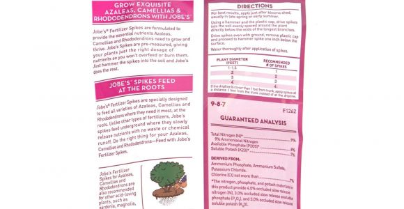 Beat Your Neighbor Fertilizer Amazon Amazon Com Jobe S Fertilizer Spikes for Azalea Camellia and