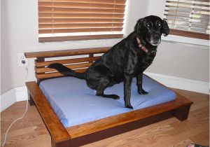 Bedside Platform Dog Bed orvis Pet Beds Cvs Dog Beds Dog Beds U Gallery Dog