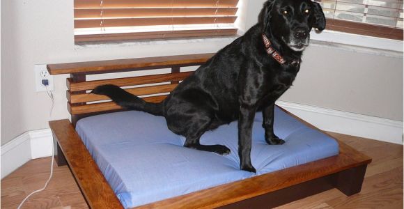 Bedside Platform Dog Bed Plans orvis Pet Beds Cvs Dog Beds Dog Beds U Gallery Dog