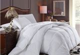 Best Fluffiest Down Alternative Comforter Super Oversized soft and Fluffy Goose Down Alternative