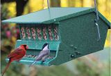 Birds Choice Bird Feeders Bird Feeder Christmas Gifts for the Home