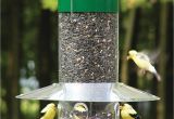 Birds Choice Bird Feeders Birds Choice Np43 Classic Hanging Feeder atg Stores