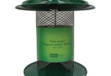 Birds Choice Bird Feeders Shop Birds Choice Sunflower Steel 5 Quart Tube Bird Feeder