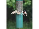 Birds Choice Classic Bird Feeder Birds Choice Classic Bird Feeder with Squirrel Baffle and