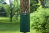 Birds Choice Classic Bird Feeder with Squirrel Baffle and Pole Bird Feeder Poles Hangers Webnuggetz Com