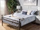 Border Storage Platform Bed Diy Gold Beds You Ll Love Wayfair