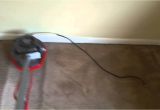 Carpet Cleaning Loganville Ga Truman Steemers Carpet Cleaning Loganville Ga Youtube