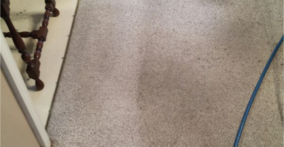 Carpet Cleaning Services Midlothian Va A Best Of Carpet Cleaners In Midlothian Va