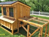 Chicken Coops for Sale In Ma 20 Best Inspired Chicken Coop Run Ideas Creative Maxx Ideas