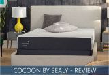 Cocoon by Sealy Reviews Cocoon by Sealy Mattress Review Chill Model In Depth