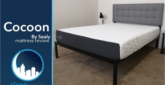 Cocoon by Sealy Reviews Sealy Cocoon Mattress Review Youtube