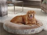 Dog sofa Bed Costco Kirkland Signature Dog Bed Best Between Costco Kirkland