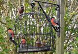 Dove Proof Bird Feeders the Bird Cage Anti Squirrel and Pigeon Proof Bird Feeder