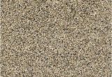 Dreamweaver Polyester Carpet Reviews Dreamweaver Polyester Carpet Reviews Www Resnooze Com