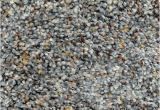 Dreamweaver Polyester Carpet Reviews Polyester Carpet Reviews Floor Matttroy