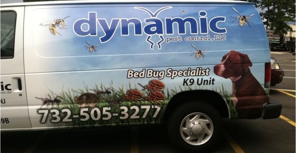 Dynamic Pest Control toms River Nj Dynamic Pest Control Skadedjursbekampning 4 Susanna Ct