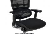 Ergohuman Plus Mesh Office Chair with Leg Rest Grospol Ergohuman Plus Bt Kmd31 Ceny I Opinie Ceneo Pl