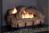 Everwarm Vent Free Gas Logs Reviews Everwarm 18 Quot Palmetto Oak Ventless Natural Gas Log Set