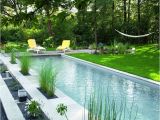 Fiberglass Pools Near Baton Rouge 64 Best Piscinas Images On Pinterest Dream Pools My House and